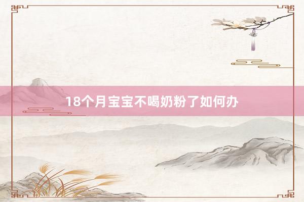 18个月宝宝不喝奶粉了如何办